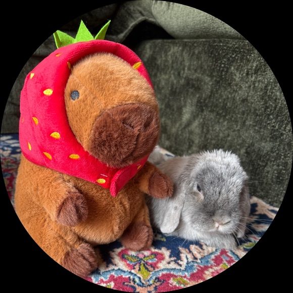 zekeybao